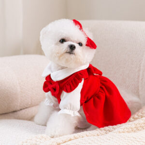 Chic New Year Outfits for Your Adorable Pup [code: 0831]